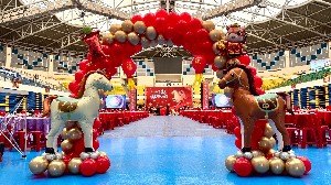 照片縮圖