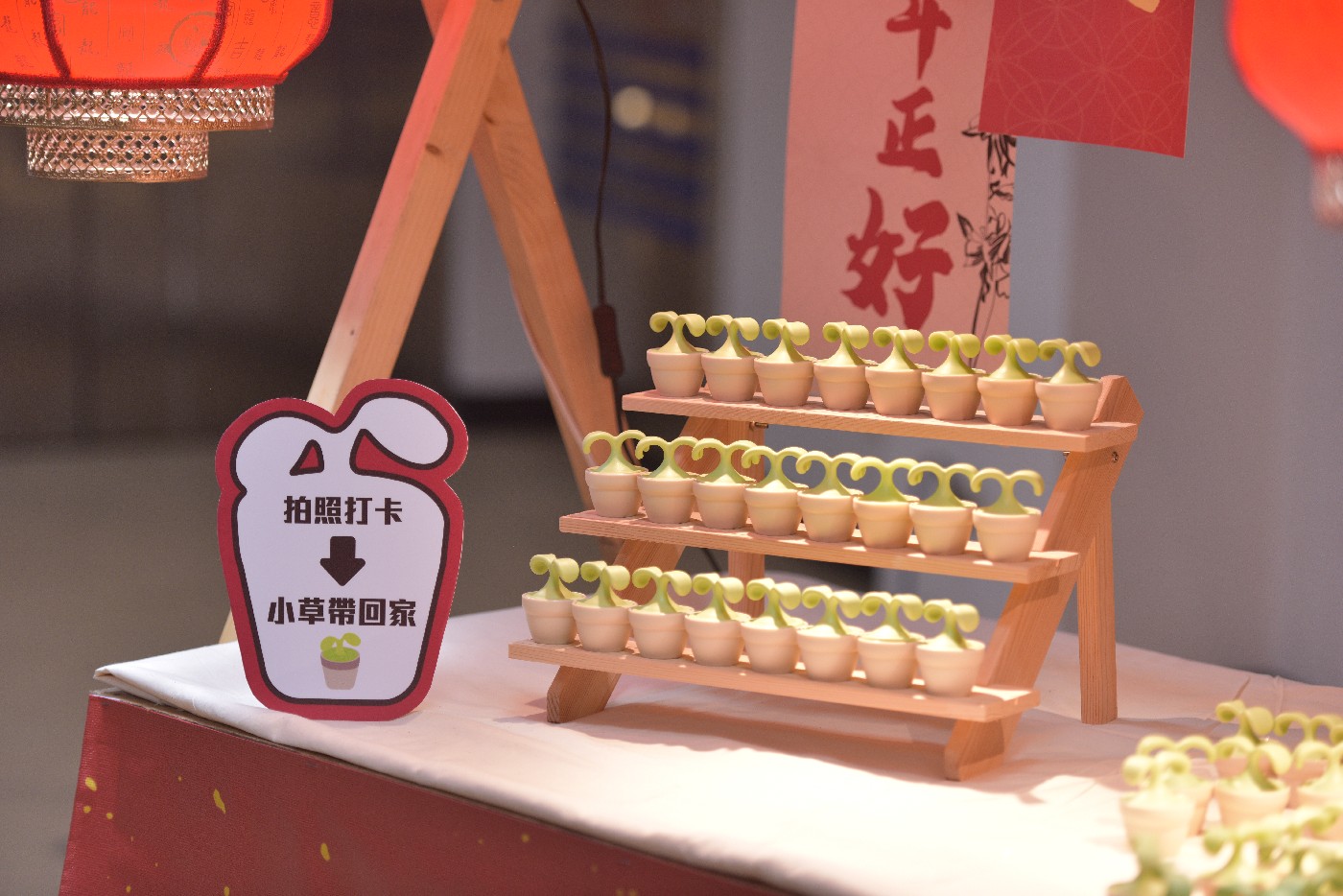 照片