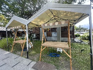 照片縮圖